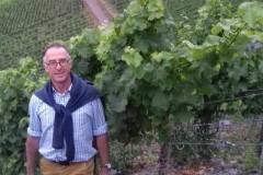 DW-in-German-vineyard