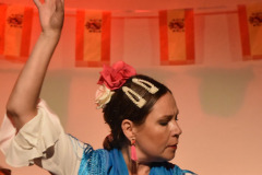 flamenco-01