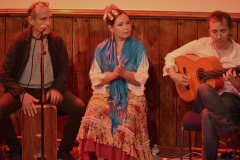 flamenco-02