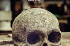 Helen-Frisby-book-cover